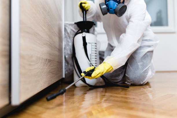 Best Mosquito Control Services  in Belington, WV