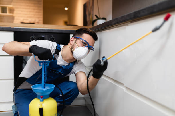 Best Pest Prevention Services  in Belington, WV