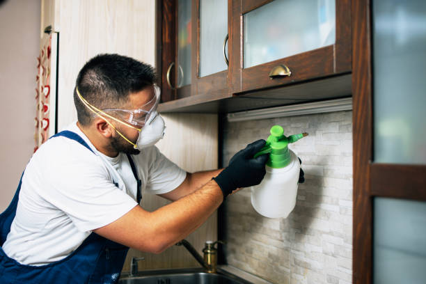 Best Best Pest Control Companies  in Belington, WV
