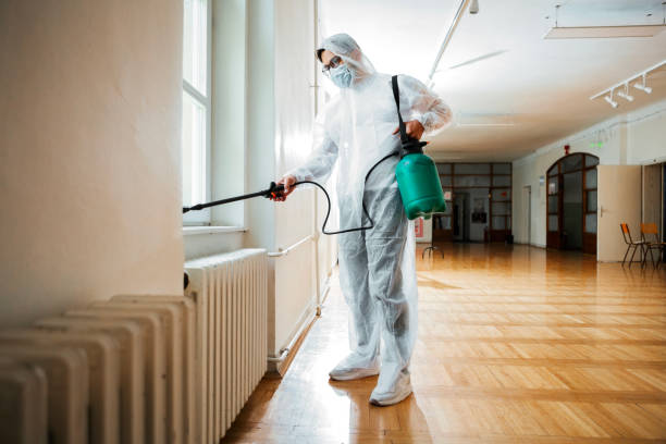 Best Flea Control Services  in Belington, WV
