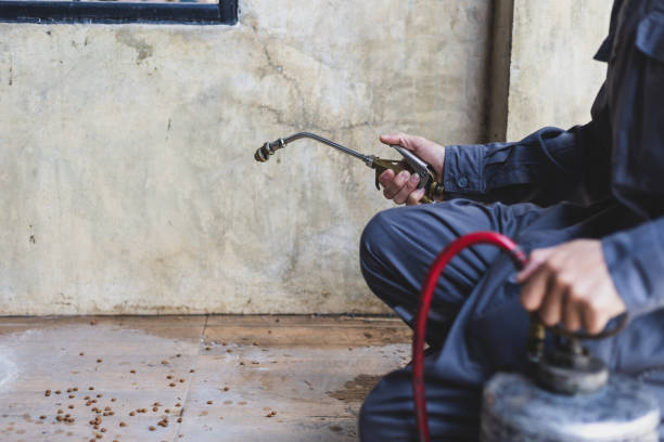 Pest Control Cost in Belington, WV